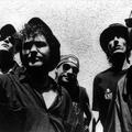 The Levellers