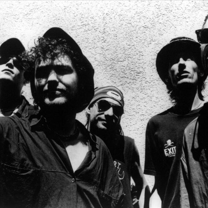 The Levellers