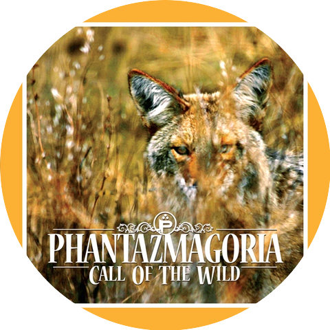 Phantazmagoria