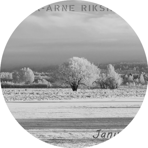 Tor-Arne Riksheim