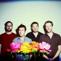 The Dismemberment Plan