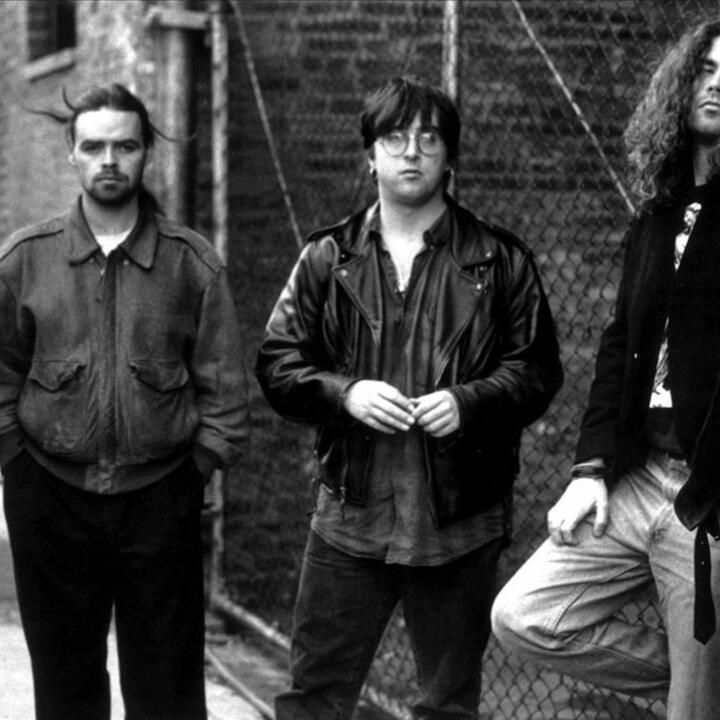 The Drovers