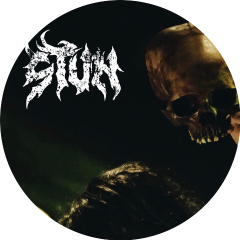 S.T.U.N.