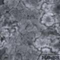 Moss