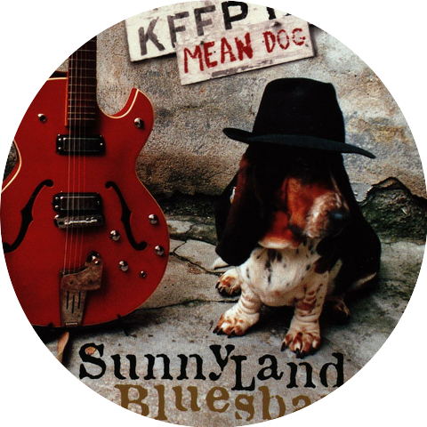 The Sunnyland Blues Band