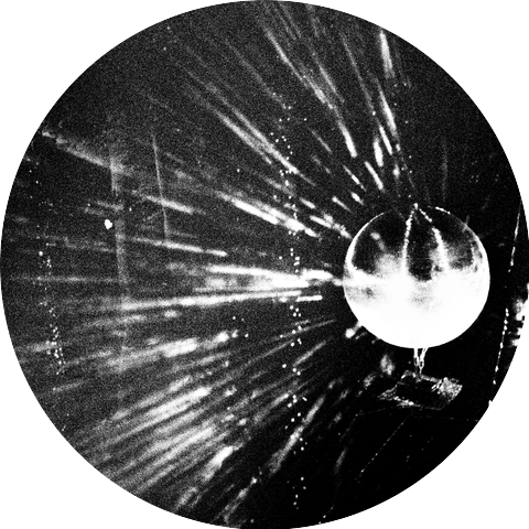 Oiseaux-Tempête
