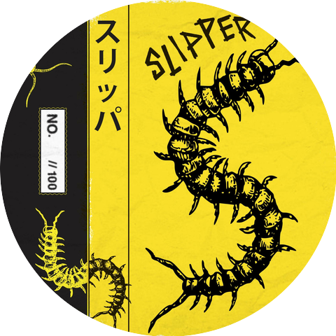 Slipper