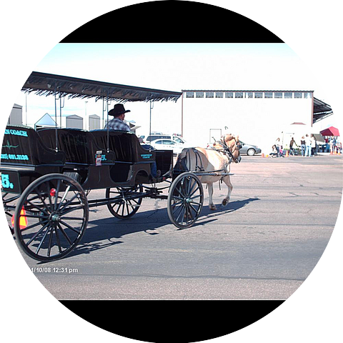 Petrillio C. Richardson