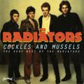 The Radiators