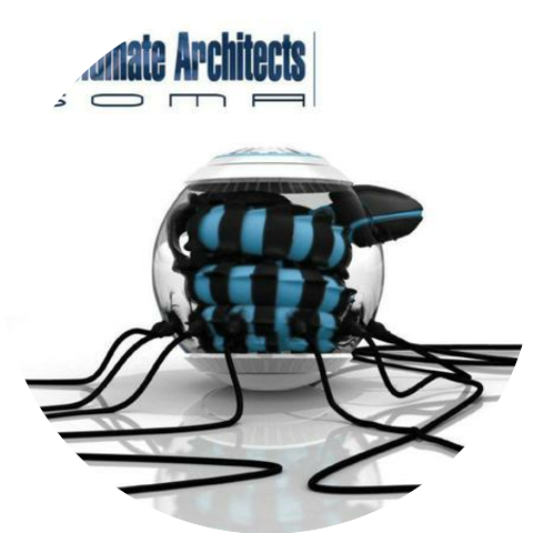 Ultimate Architects