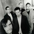 The Backsliders