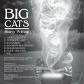 Big Cats