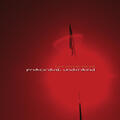 Primordial Undermind