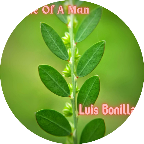Luis Bonilla