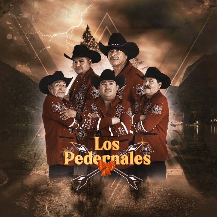 Pedernales