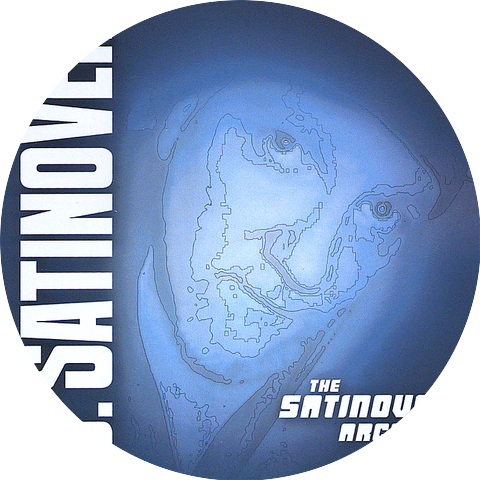 Bruce Satinover