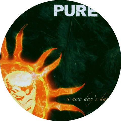 Pure Inc