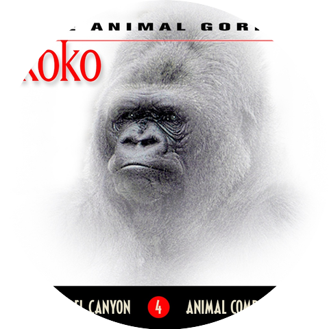 Laurel Canyon Animal Company