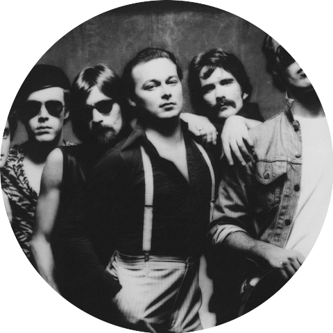 The Iron City Houserockers