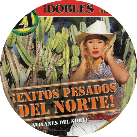 Gavilanes del Norte