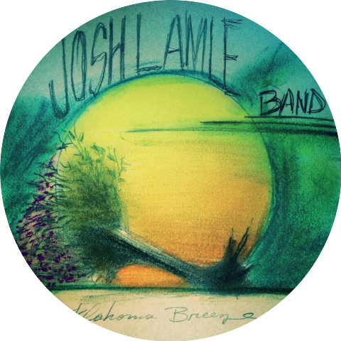 Josh Lamle Band