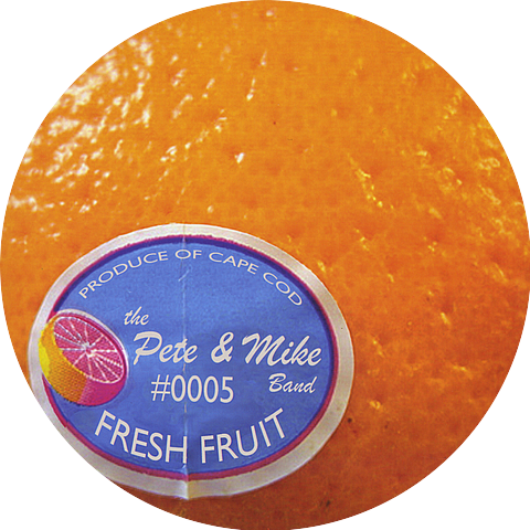 The Pete & Mike Band