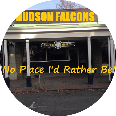 The Hudson Falcons