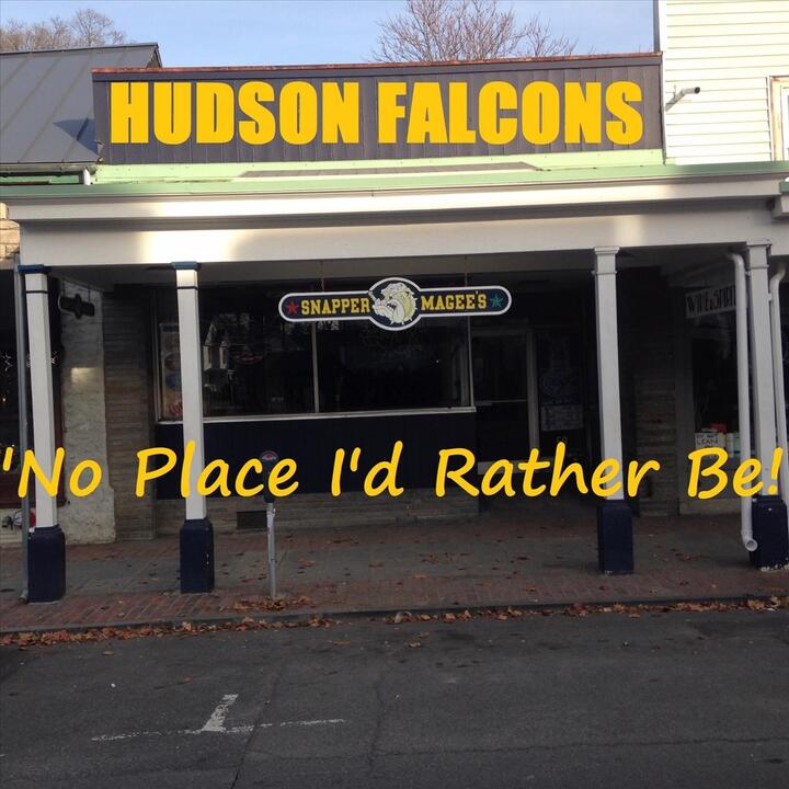 The Hudson Falcons