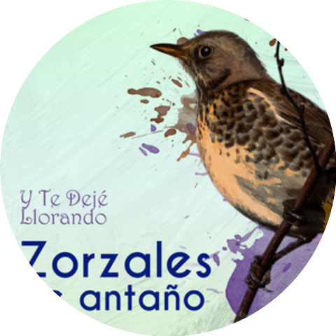 Orquesta Típica Víctor