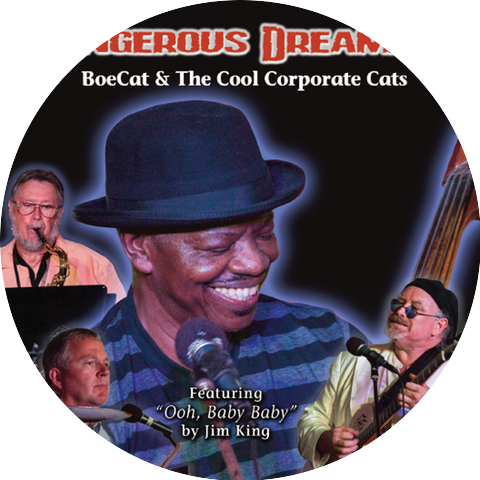Boe Cat & Cool Corporate Cats