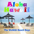 Waikiki Beach Boys