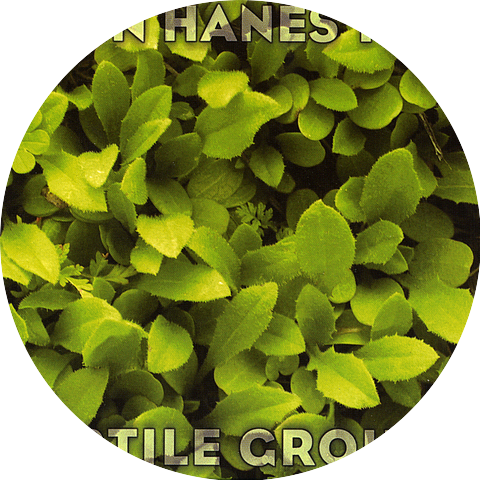 John Hanes