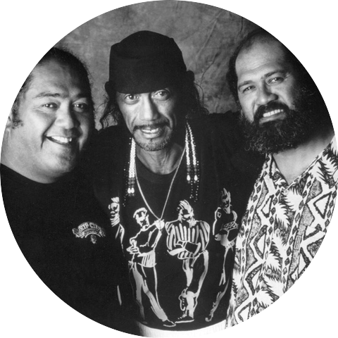 The Pahinui Brothers