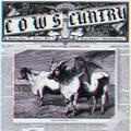 The Cows