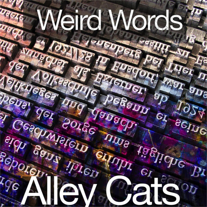 alley cats