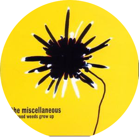The Miscellaneous