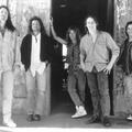 The Dixie Dregs
