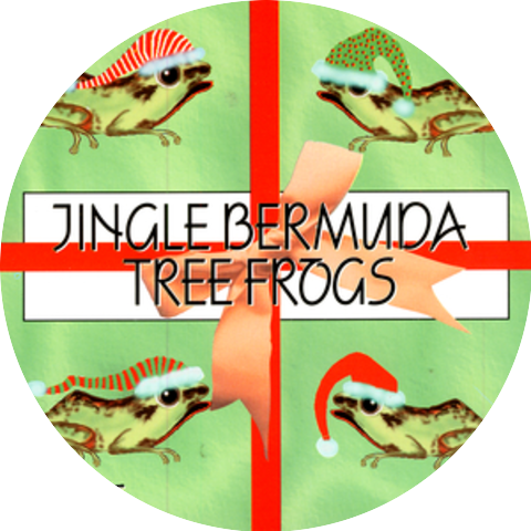 Bermuda Tree Frogs