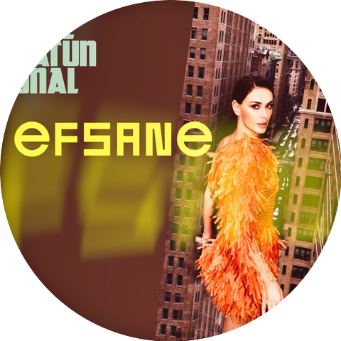 Ayse Hatun Önal