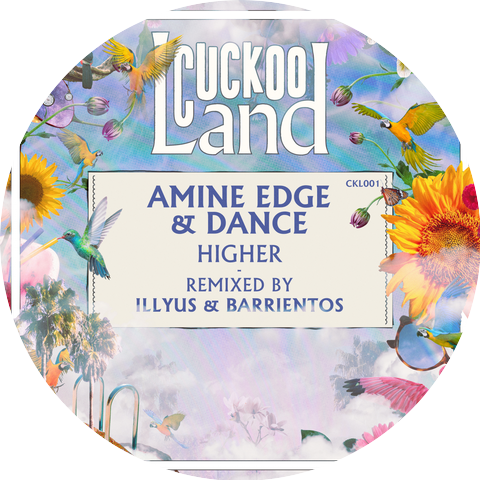 Amine Edge and DANCE