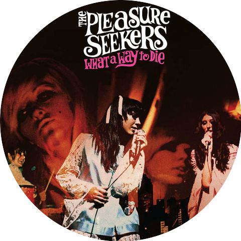 the Pleasure Seekers