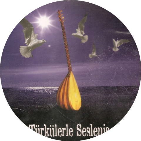 Mehtap Çakir