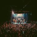The Frights