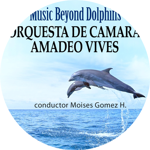 Orquesta de Camara Amadeo Vives, Moisés Gómez Hernandez