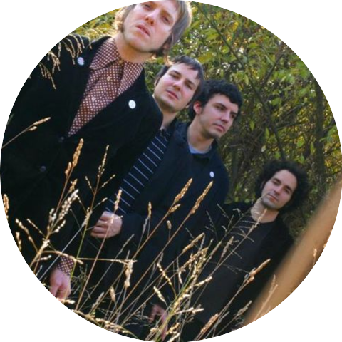 Black Hollies