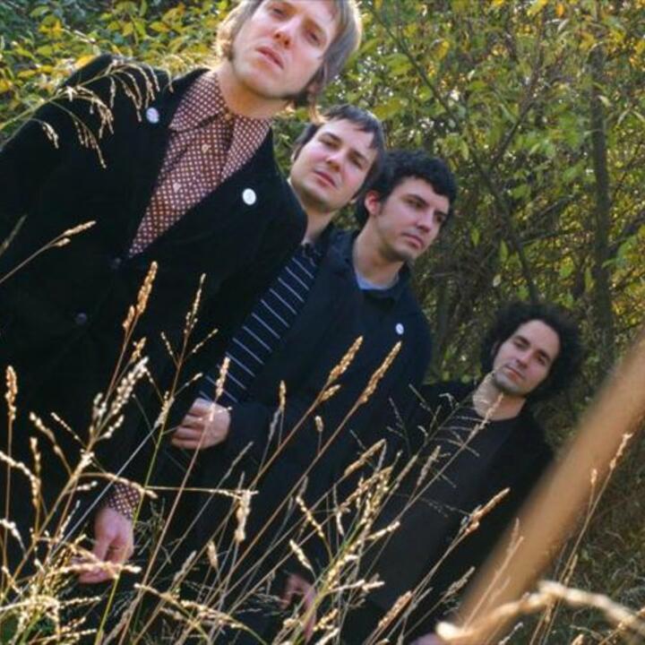 Black Hollies