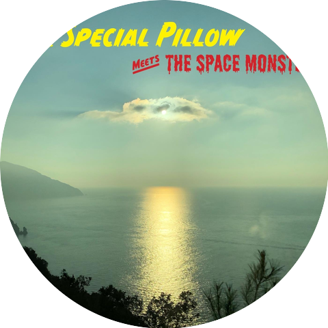 Special Pillow