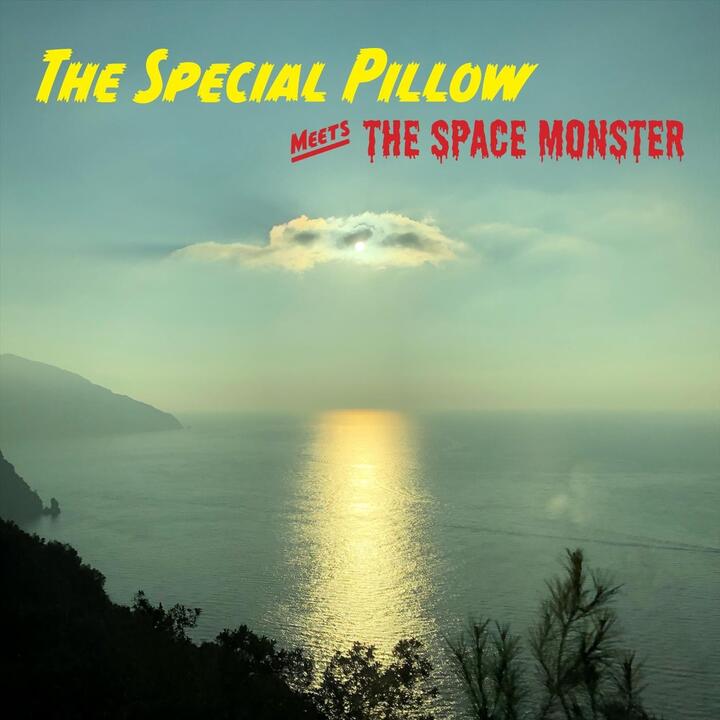 Special Pillow