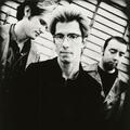 The Vigilantes Of Love