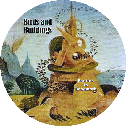 Birds & Buildings